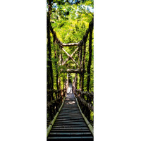 Moderní fototapeta - Visutý most v lese - 90x270 cm