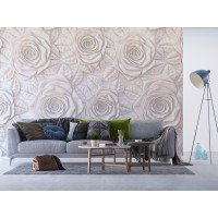 Moderní fototapeta - Sádrový basreliéf růže - 360x270 cm