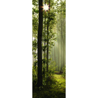 Moderní fototapeta - Magický les - 90x270 cm