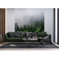 Moderní fototapeta - Les v ranní mlze - 225x270 cm