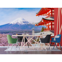 Moderní fototapeta - Kvetoucí sakura v Japonsku - 360x270 cm