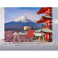 Moderní fototapeta - Kvetoucí sakura v Japonsku - 360x270 cm