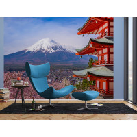 Moderní fototapeta - Kvetoucí sakura v Japonsku - 360x270 cm