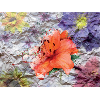 Moderní fototapeta - Květiny na papíře - 360x270 cm