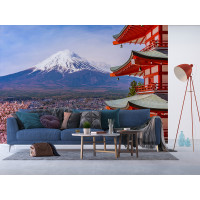 Moderní fototapeta - Kvetoucí sakura v Japonsku - 360x270 cm