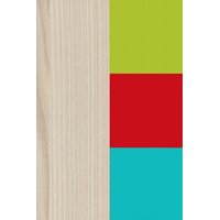 Šatní skříň COLOR - TYP F