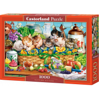 CASTORLAND Puzzle Dřímající koťata 1000 dílků