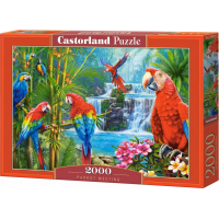 CASTORLAND Puzzle Setkání papoušků 2000 dílků