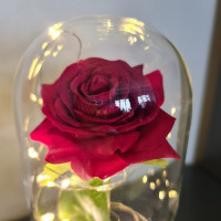 Růže ve skle - zářící Malatec 21619