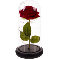 Růže ve skle - zářící Malatec 21619