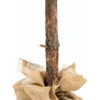 Vánoční umělý stromek - borovice diamantová - 160 cm