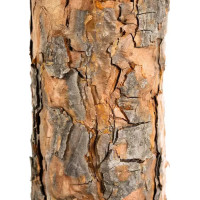 Vánoční umělý stromek - borovice diamantová - 160 cm