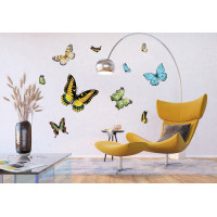 Moderní samolepka na zeď - Variace barevných motýlů - 65x85 cm