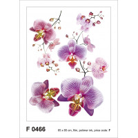 Moderní samolepka na zeď - Fialové orchideje - 65x85 cm