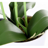 Umělá orchidej 65 cm