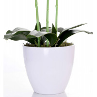 Umělá orchidej 65 cm
