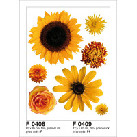Moderní samolepka na zeď - Žluté květy a slunečnice - 65x85 cm