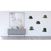 Moderní samolepka na zeď - Květiny na kamenech - 65x85 cm