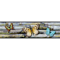Moderní samolepící bordura - Motýli - 14x500 cm
