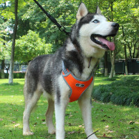 Beztlakový postroj pro psa ASTRO - pomerančový - rozměr XL