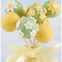 Silikonová forma na pečení cakepops + 20 špejlí