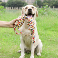 Hračka pro psa WALLY 60 cm
