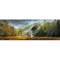HEYE Panoramatické puzzle Ranní pozdravení 1000 dílků