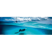 HEYE Panoramatické puzzle Rejnok (Kajmanské ostrovy) 1000 dílků
