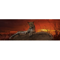 HEYE Panoramatické puzzle Svítání (Keňa) 2000 dílků