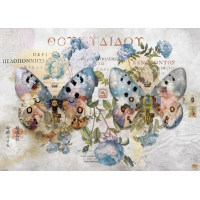 HEYE Puzzle Metamorphosis: Křídla č. II 1000 dílků