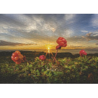 HEYE Puzzle Ostružiny 1000 dílků