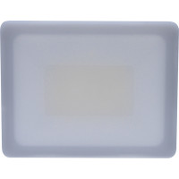 LED reflektor Quick, 30W, 2550lm, 4000K, IP65, černý