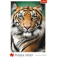 TREFL Puzzle Tygří portrét 1500 dílků