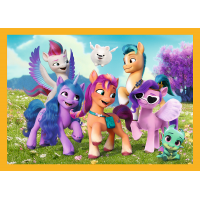 TREFL Puzzle My Little Pony: Seznamte se s poníky 4v1 (35,48,54,70 dílků)