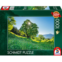 SCHMIDT Puzzle Platan 1000 dílků