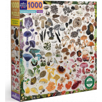 EEBOO Čtvercové puzzle Houbová duha 1000 dílků