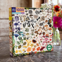 EEBOO Čtvercové puzzle Houbová duha 1000 dílků