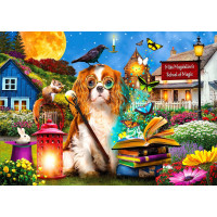 ENJOY Puzzle Škola kouzel 1000 dílků