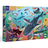 EEBOO Puzzle Žraloci 100 dílků