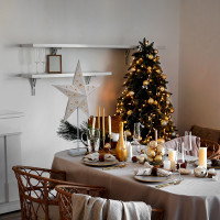 LED vánoční hvězda stolní, 10x LED