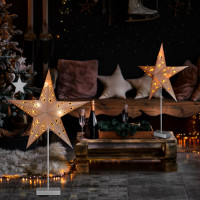 LED vánoční hvězda stolní, 10x LED