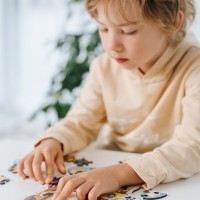 TREFL Wood Craft Junior puzzle Chytrý Ježek Sonic 50 dílků
