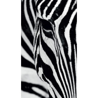 Designový závěs - Zebra - 140x245 cm