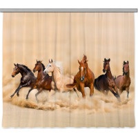 Designový závěs - Stádo divokých koní - 280x245 cm