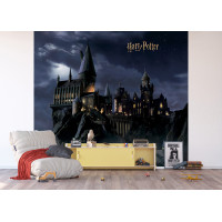 Dětská fototapeta - Harry Potter - Bradavice - 300x270 cm