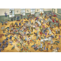 HEYE Puzzle Spravedlnost pro všechny! 1000 dílků