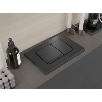 Ovládací tlačítko splachovadla pro modul FENIX XS typ 10 - gun grey - dvojčinné, 601066