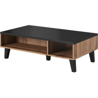 Konferenční stolek LEILA 110 - dub wotan/černý