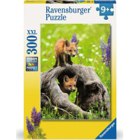 RAVENSBURGER Puzzle Zvědavé lišky XXL 300 dílků