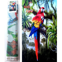 Norimpex Diamantové malování Barevní papoušci 80x40 cm